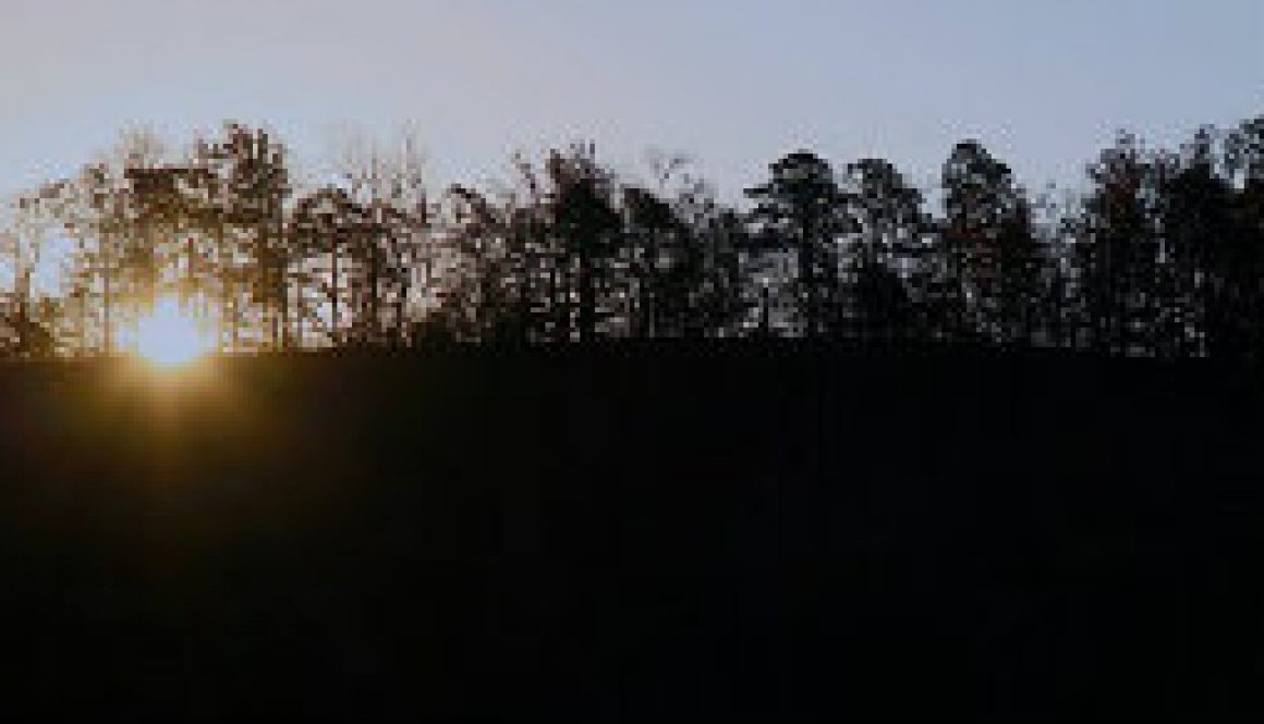 A winter sunrise looking east from the treetop loft featured