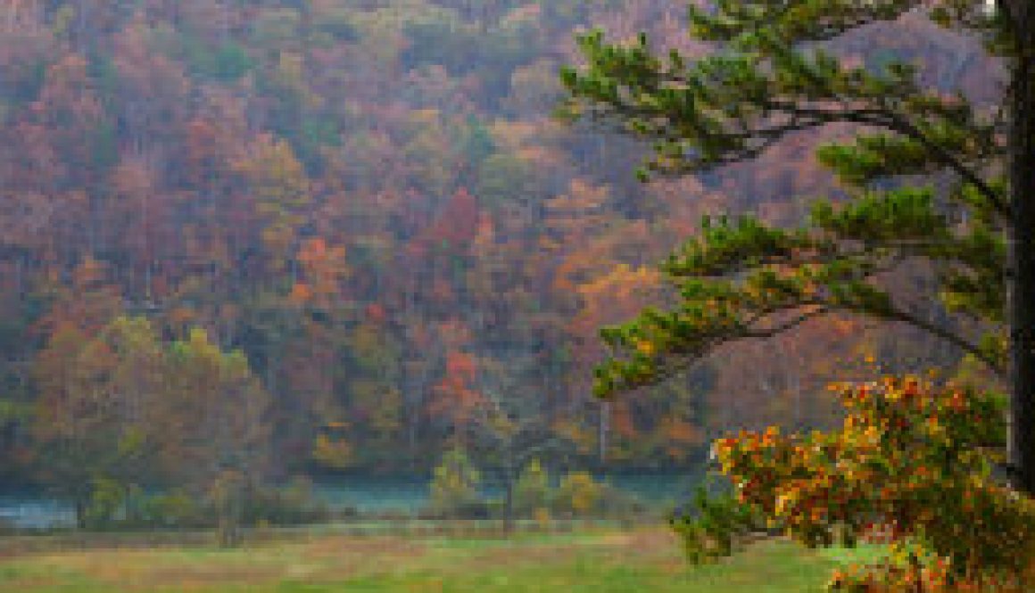 Fall at River of Life Farm; October 23, 2009 featured