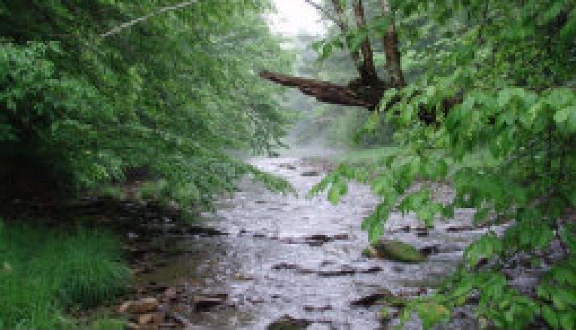 Floating the North Fork in the mid-1960's PART One of Five feautured