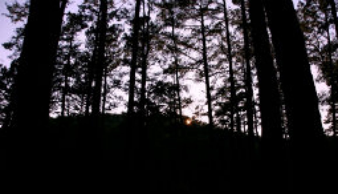 From porch of Whispering Pines looking southwest featyured