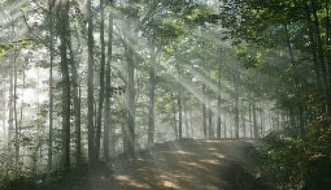 July picture near Whispering Pines featured