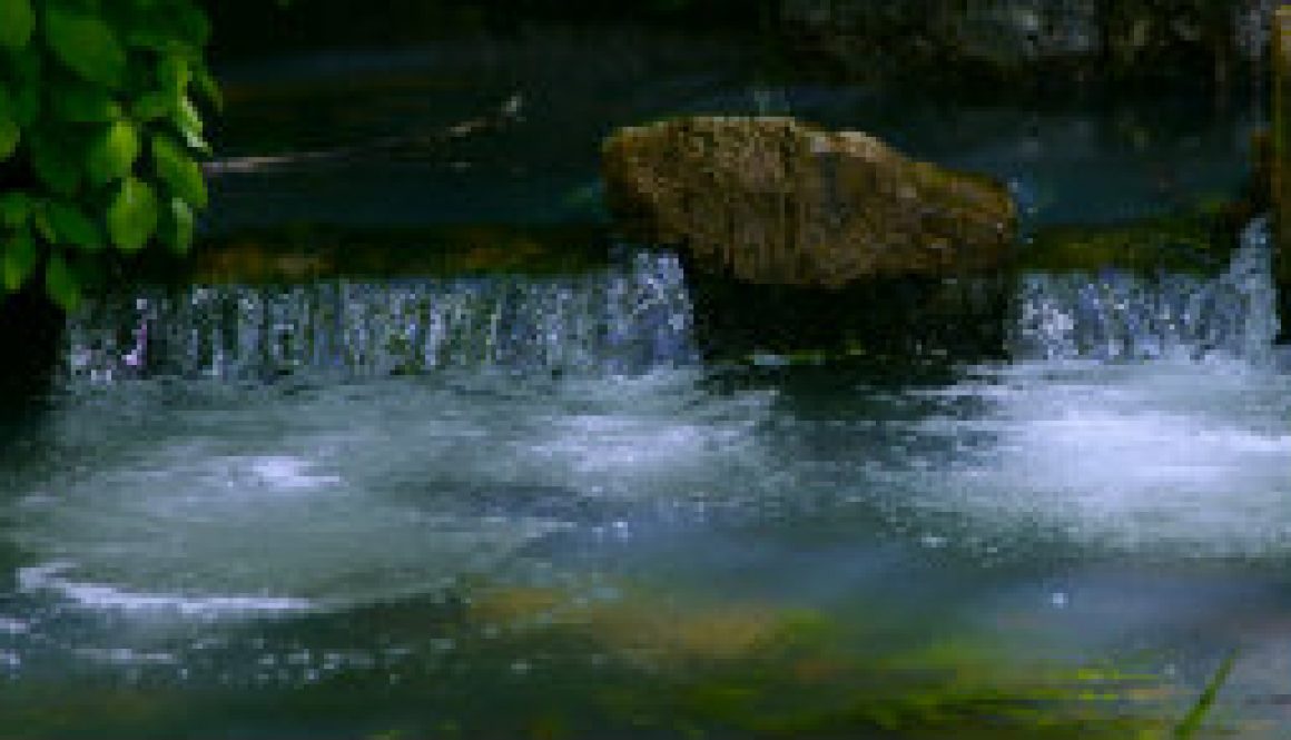 Large Spring at RockBridge in May 2009 featured