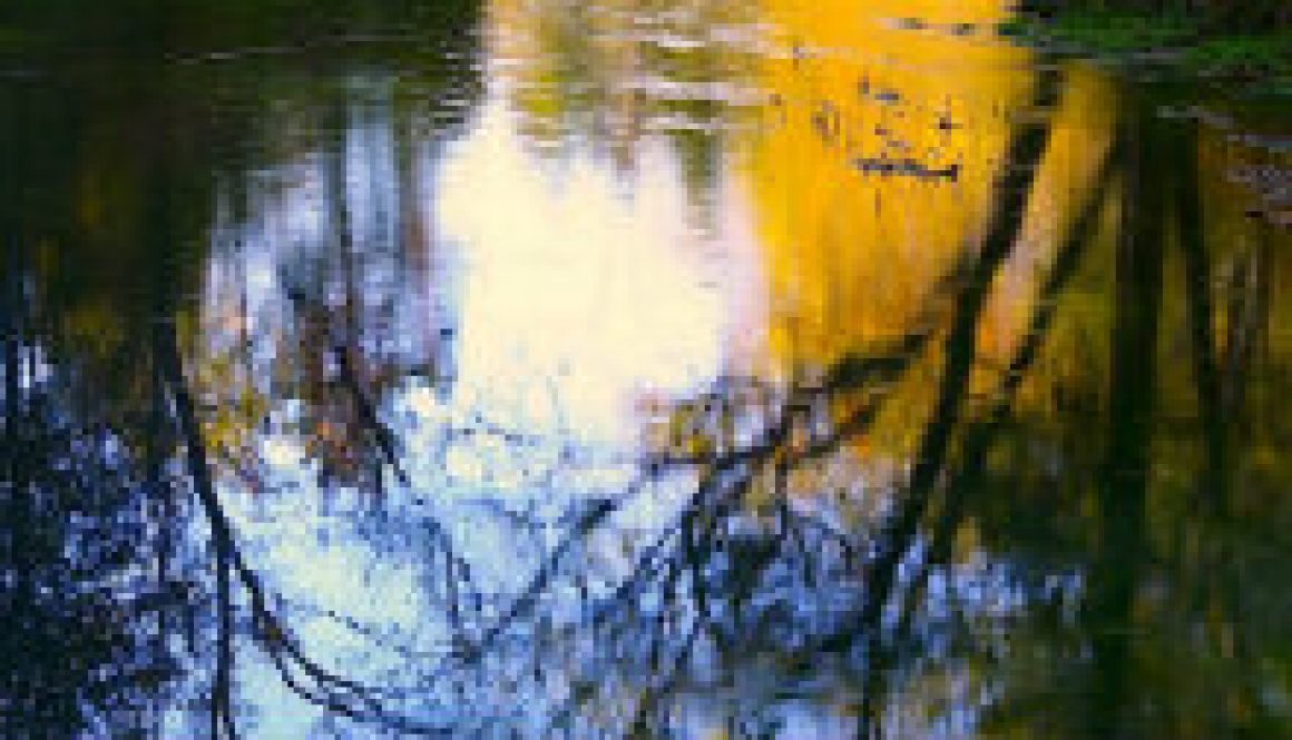 North Fork Sycamore Reflections sep 28 featured