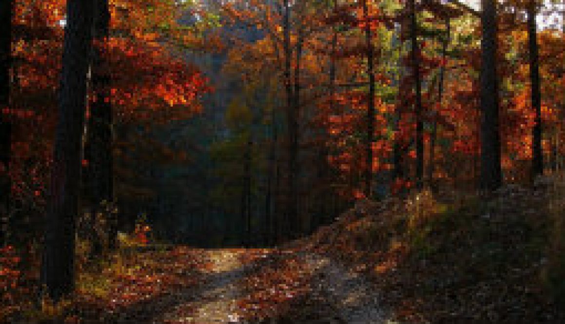 November 5th - Road to Whispering Pines featured