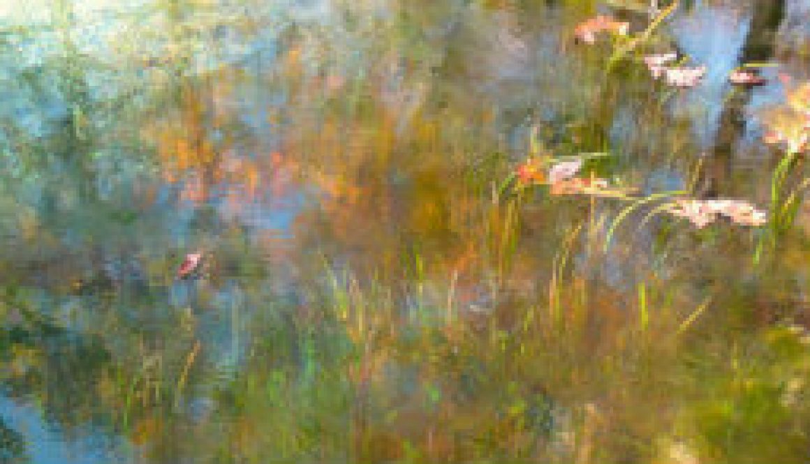 Reflections of the North Fork below Rainbow Springs featured