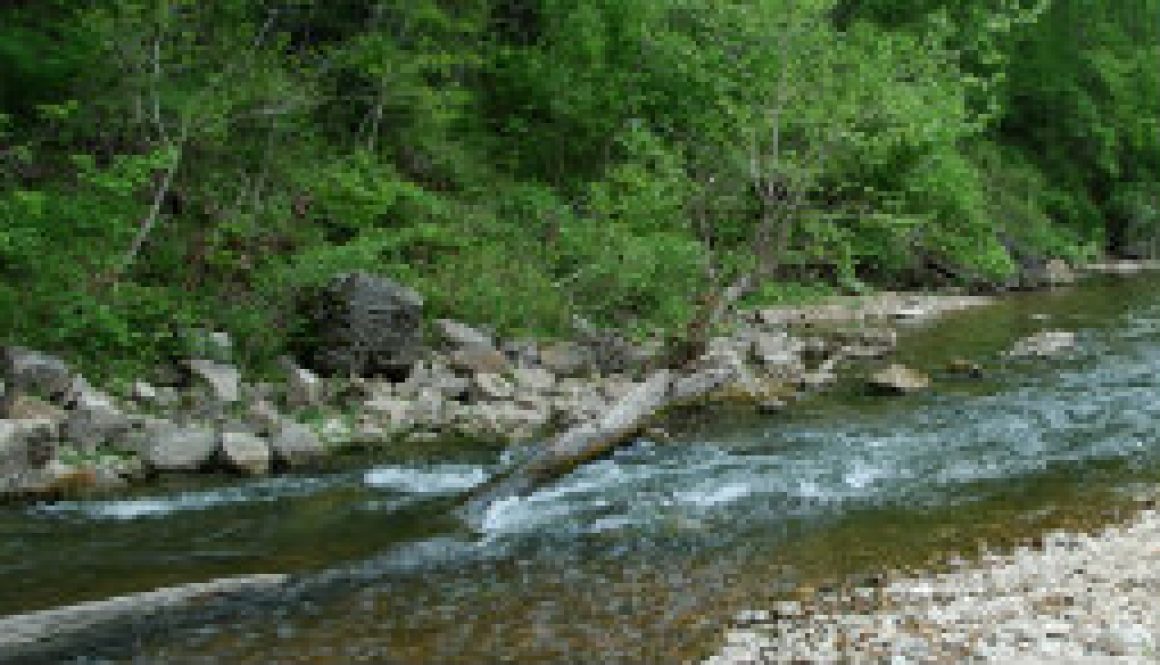 Smallmouth fly-fishing water on the upper North Fork featured