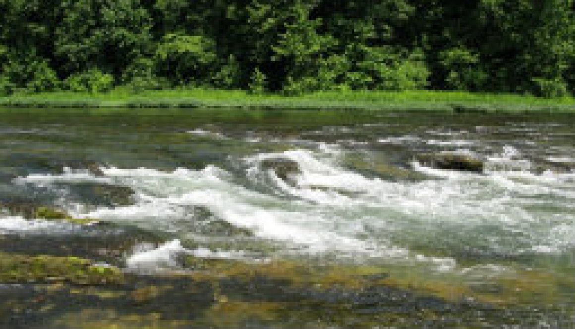 The Falls of the North Fork at 395 CFS featured