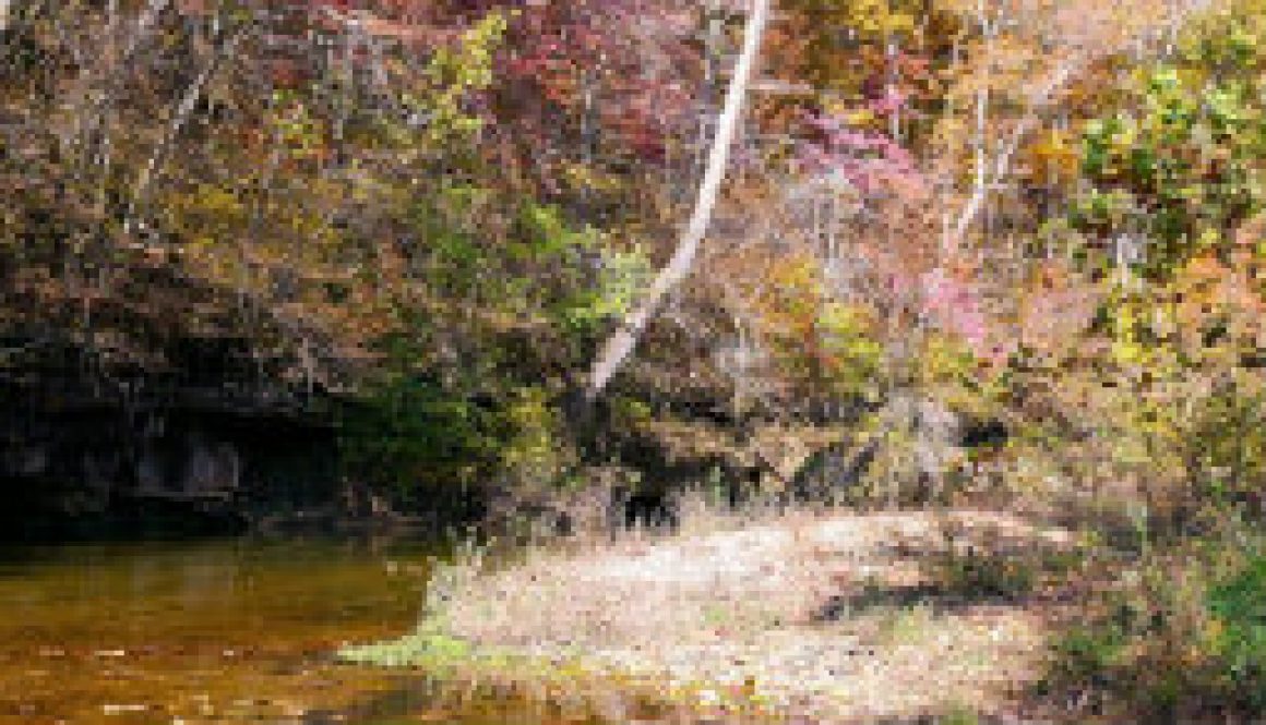 A late fall day on Spring Creek above Rockbridge Mill featured