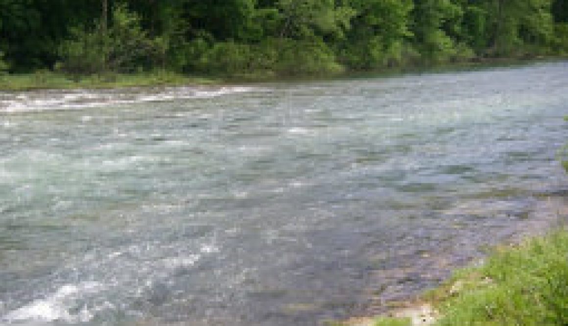 An evening walk to catch a wild trout featured