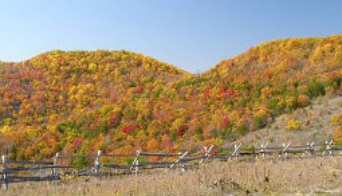 Glade Top Trail featured