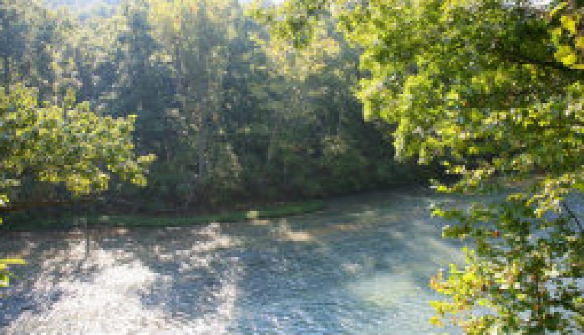 Morning from the Treetop Hideaway featured