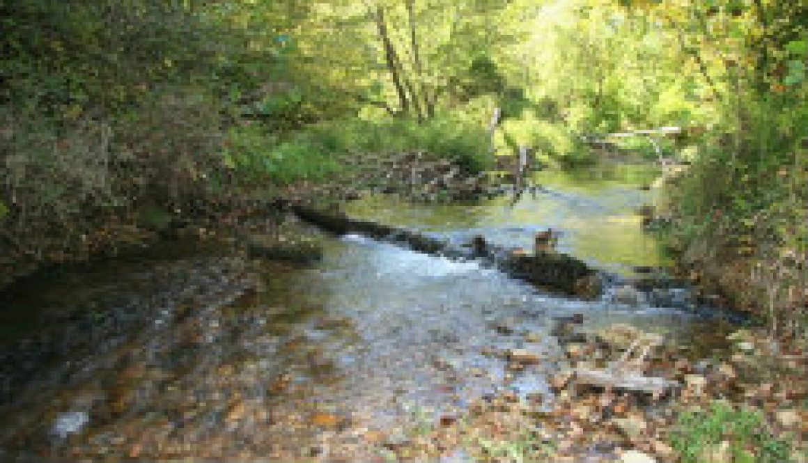 North Fork above Hale in late September 1 featured