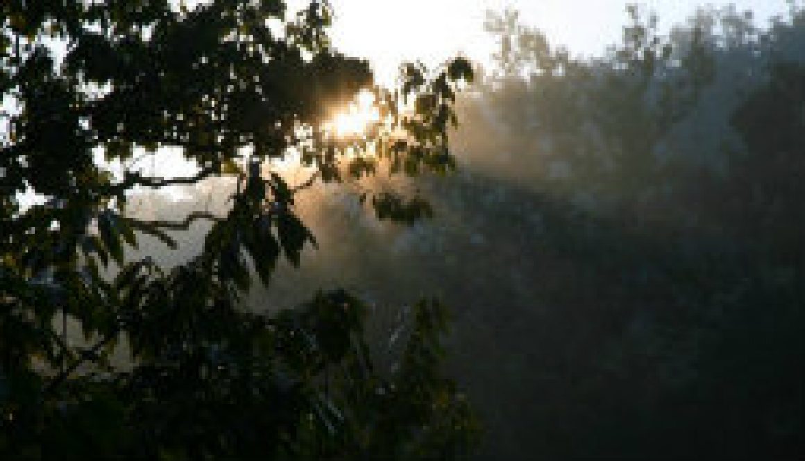 Rewind to September dawns from a River Cabin featured