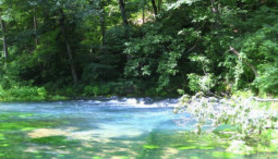 Special private look at Rainbow Springs featured