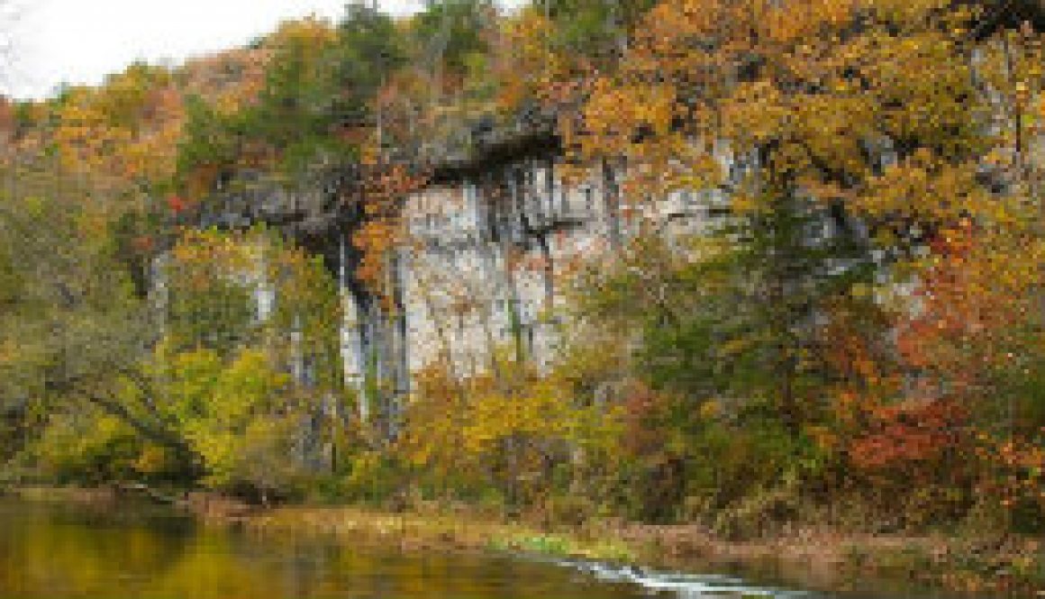 The beauty of Vera Cruz access on the Bryant Creek featured