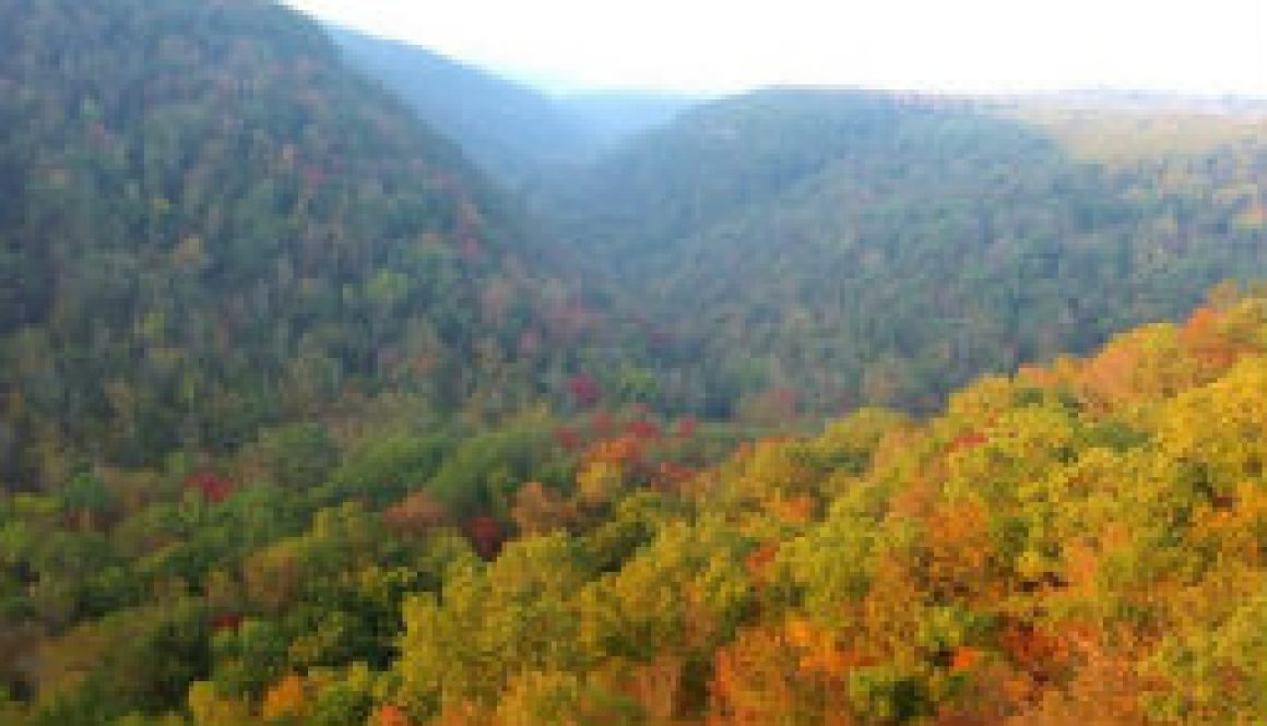 Worthwhile day trip from ROLF to Hawksbill Crag featured