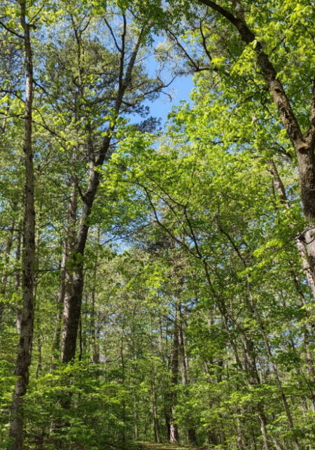 Hiking outdoor family getaway