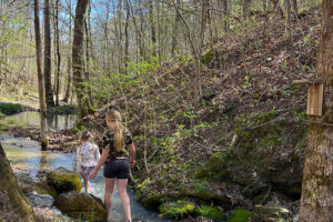 Hiking trails Ozarks Missouri